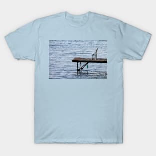 Summer's End T-Shirt